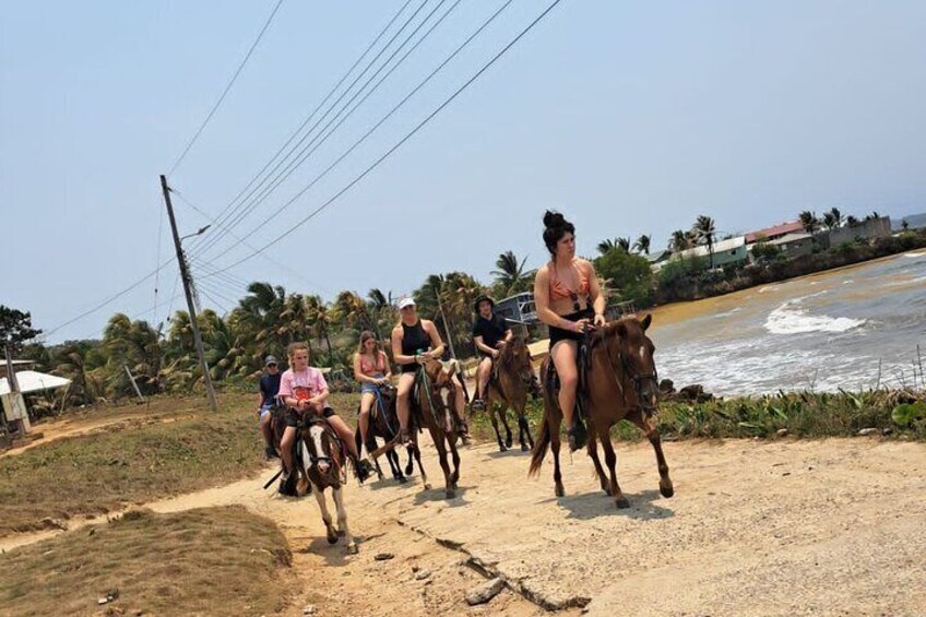 Roatán Half-Day Combo Horseback, ZIP Line, Sanctuary with Snorkel