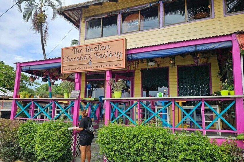 Roatan Shore Excursion All in One