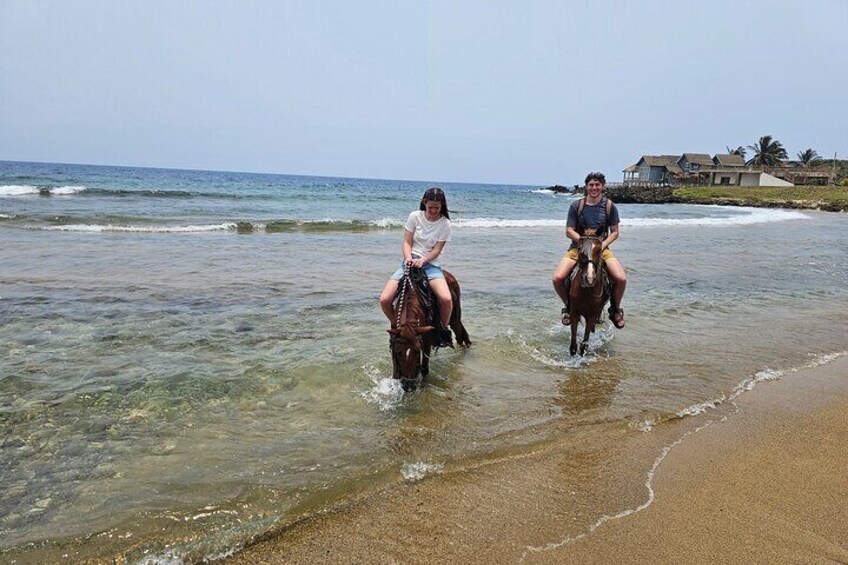 Roatán Half-Day Combo Horseback, ZIP Line, Sanctuary with Snorkel