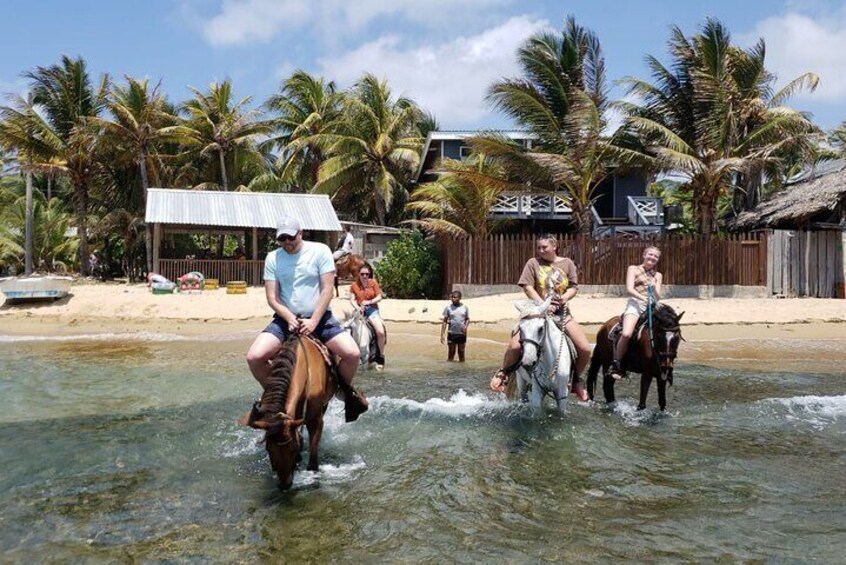 Roatan Combo Horseback Ride with Zip Line Wildlife and Snorkel