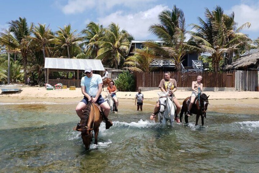 Roatan Combo Horseback Ride with Zip Line Wildlife and Snorkel
