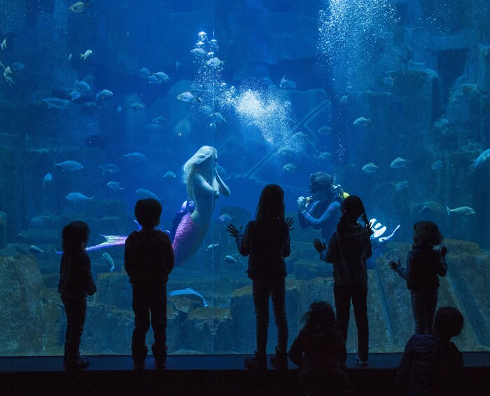 The Paris Pass®: Access to 75+ Attractions and Tours