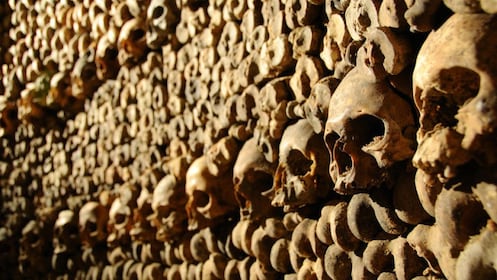 Accès prioritaire : visite guidée des catacombes de Paris avec accès VIP