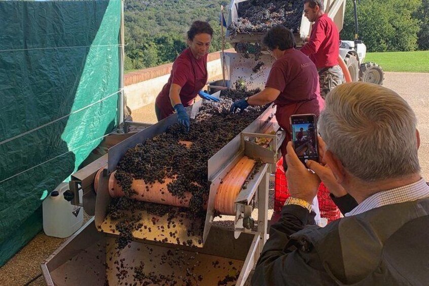 Bolgheri Wine Experience Tour