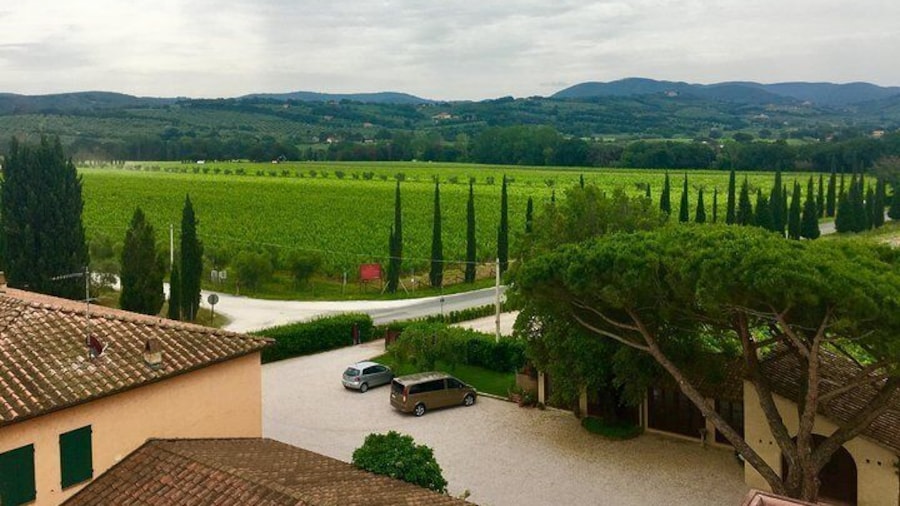 Bolgheri Wine Tour from Livorno