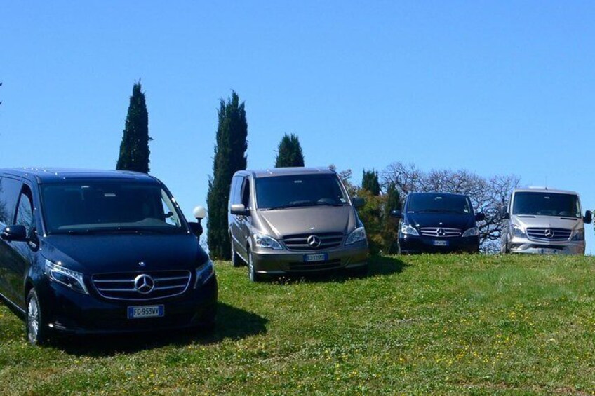 Bolgheri & Volterra Private Wine Tour from Livorno