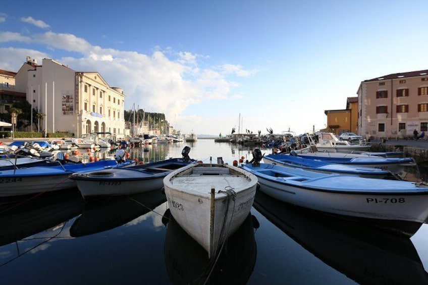 Electric Bike Tour Piran & Salt Pans