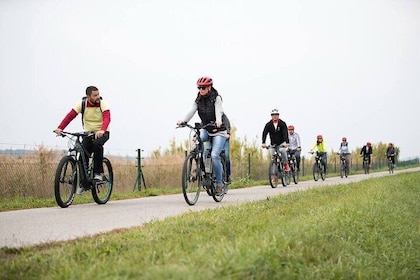 Slovenian coast Koper, Izola, Piran - Parenzana electric biking tour from K...