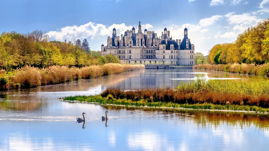 Loire Valley Castles & Wine Tasting Day Trip from Paris