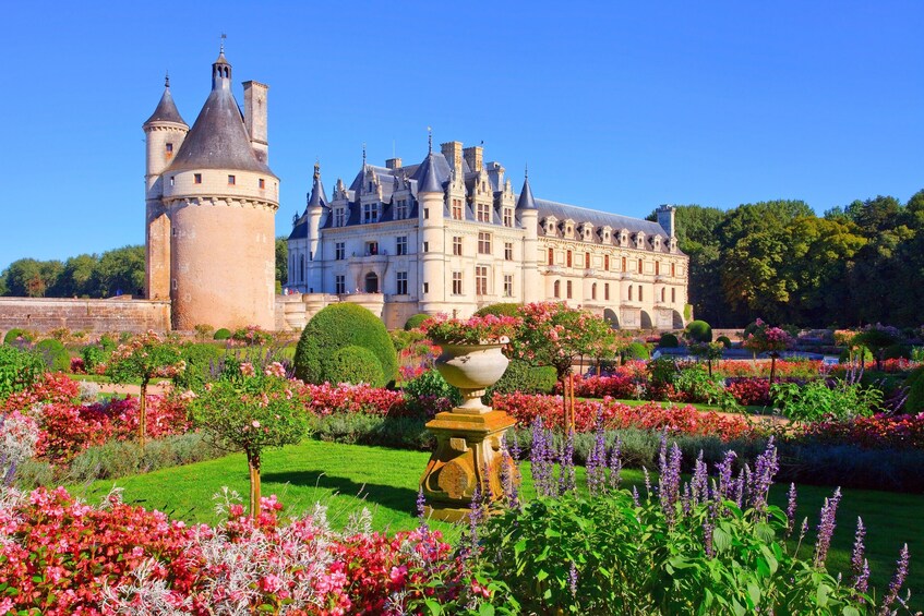 Loire Valley Castles & Wine Tasting Day Trip from Paris