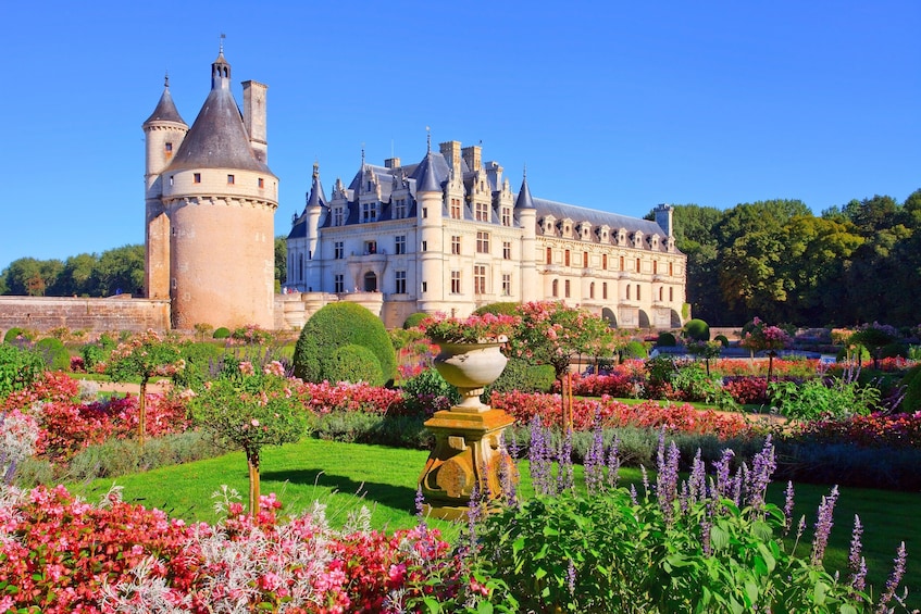 Loire Valley Castles & Wine Tasting Day Trip from Paris