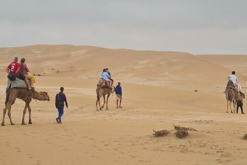 Sahara desert Dunes, Camel Ride & Sandboarding including Pickup
