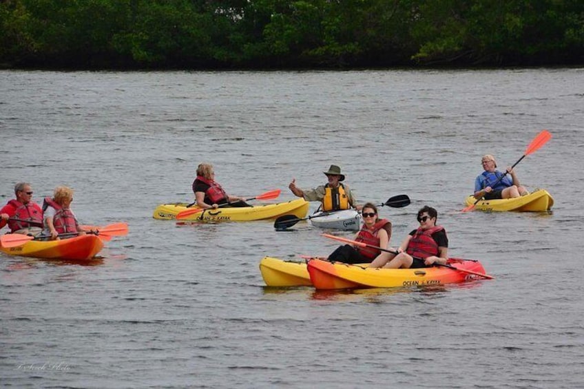 Lovers Key Guided Eco Tour-Mangrove Estuary