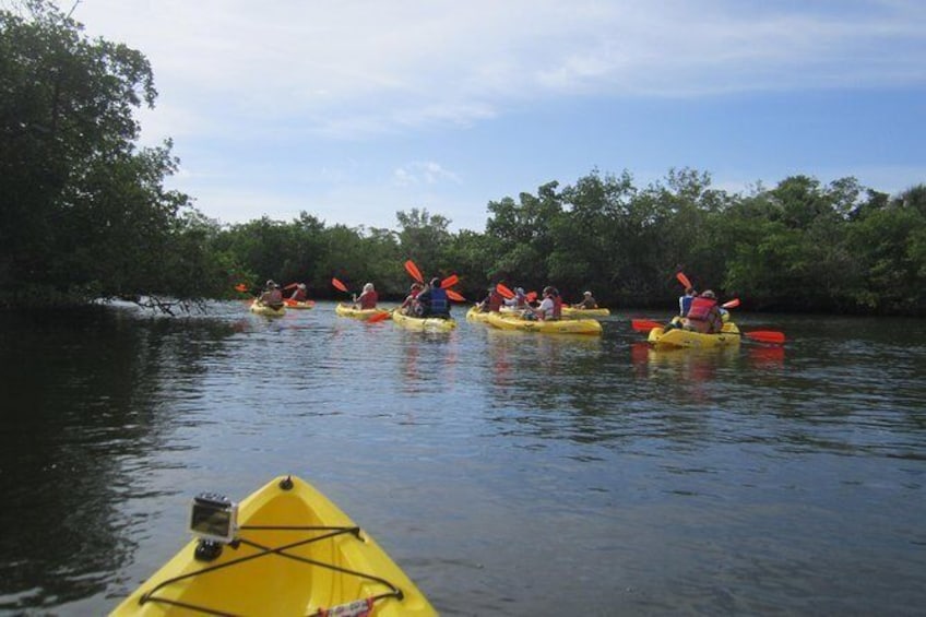 Show item 4 of 6. Guided Kayak Tour- Manatee and Dolphin sightings