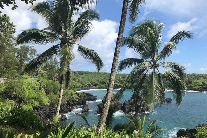 Private Road to Hana Tour