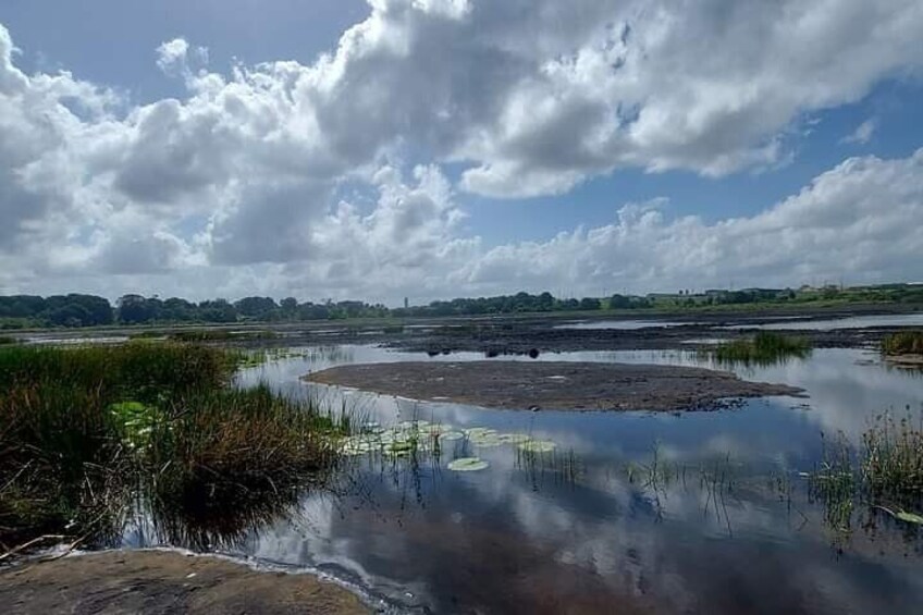 Pitch Lake and the Hanuman Murti, Temple in the Sea. Tour