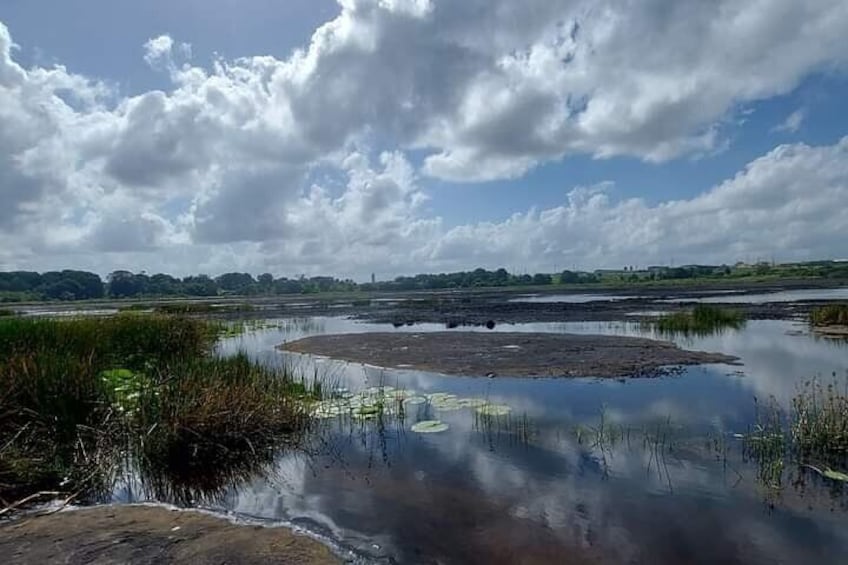 Pitch Lake and the Hanuman Murti, Temple in the Sea. Tour
