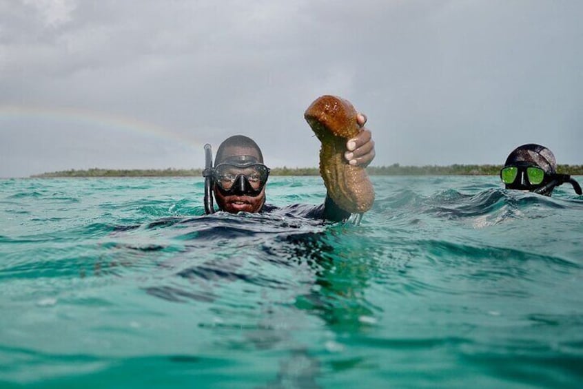 Blue hole snorkeling, and turtle park