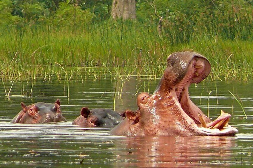 Omo Valley Tribe Tours 8 Days