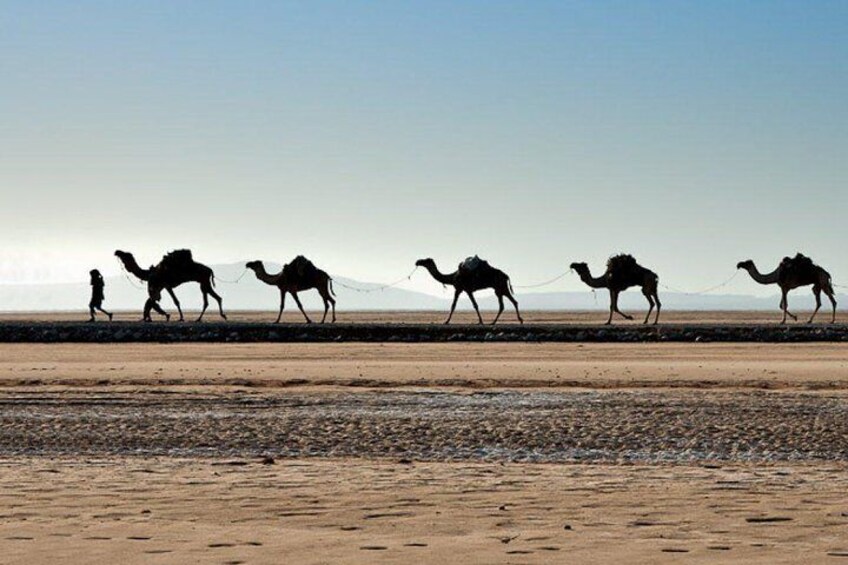 Danakil Depression And Lalibela 5 Days Tours
