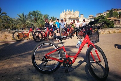 Mallorca Landausflug: Palma Radtour einschließlich Kathedrale von Palma und...