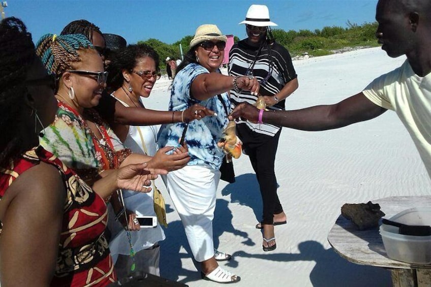 Providenciales Group Island Tour