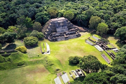 Half-Day Guided Tour to Altun Ha Mayan Ruin and Belize City