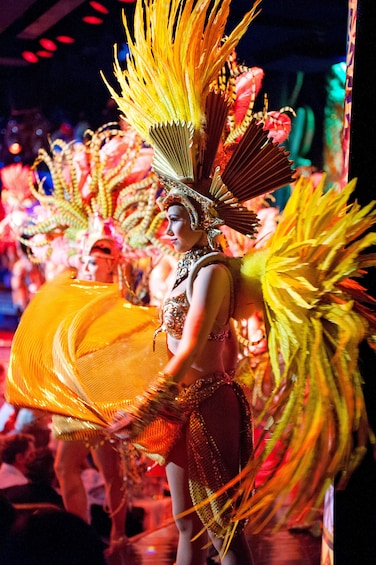 Paris by Night: City Tour & Show at the Moulin Rouge