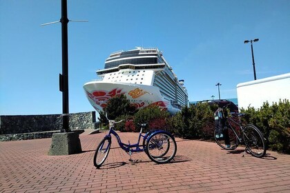 Victoria Shore Excursion: Castles and Areas Bike Tour
