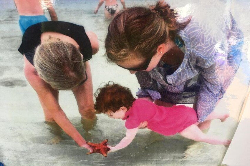 The baby and Starfish