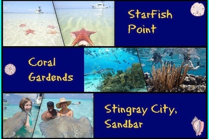 Starfish Point, Stingray City en Coral Garden (3-stop avontuur)