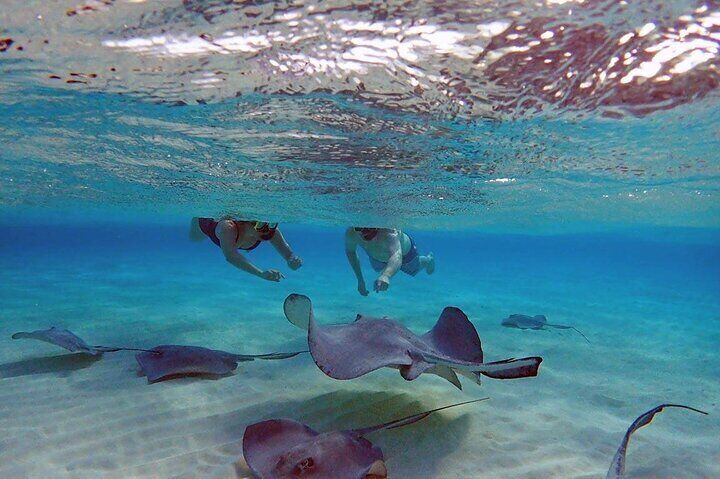 Beautiful blue and green water with Stingray City sandbar.