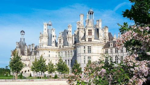 Tour di un'intera giornata dei castelli della Valle della Loira da Parigi