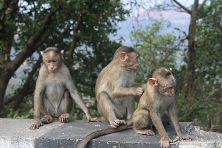 Lonavala Hill Station Tour