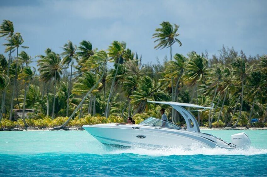 Reef Discovery Day Cruiser Boat in Bora Bora
