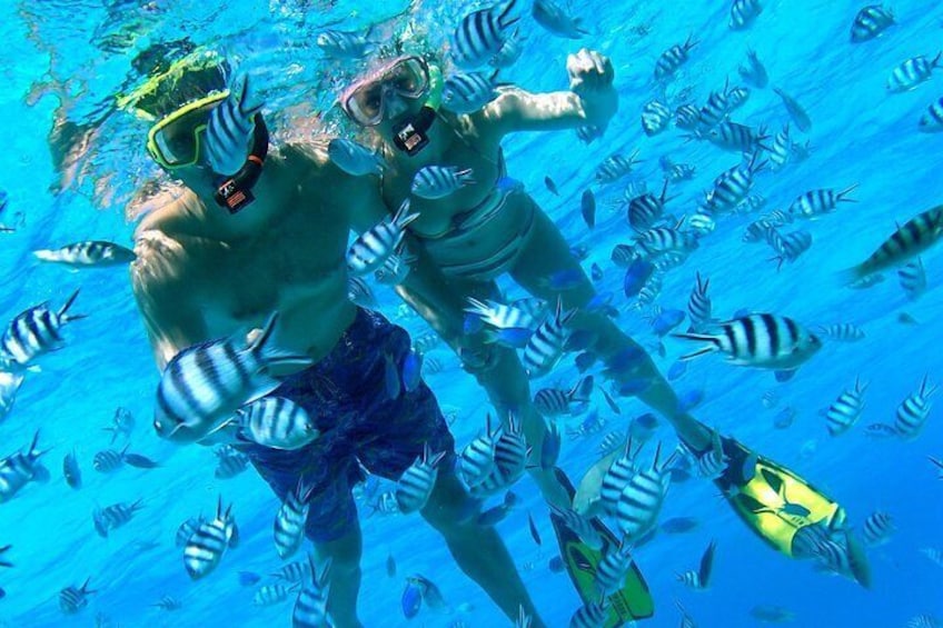 Reef Discovery Bora Bora Private snorkeling Water Lunch