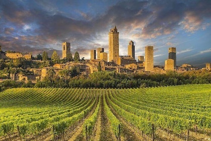 Wine Tasting & Tuscany Countryside, San Gimignano & Volterra