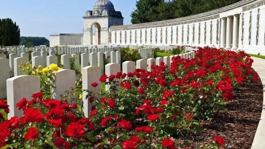 Flanders Field