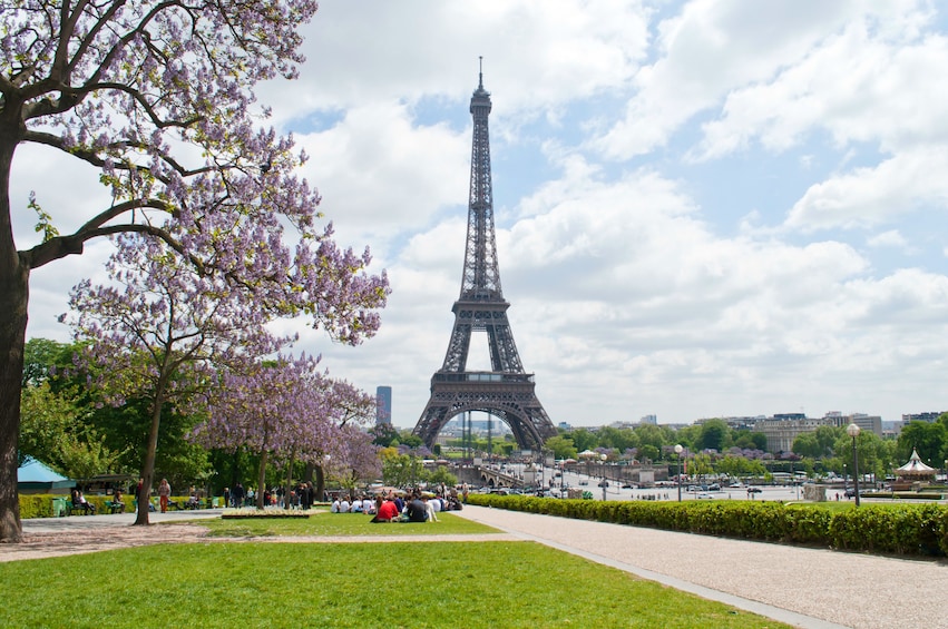 Priority Acces to the Mona Lisa, Seine River Cruise & Eiffel Tower Option