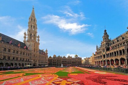 Tour privado por lo mejor de Bruselas desde Zeebrugge o Brujas