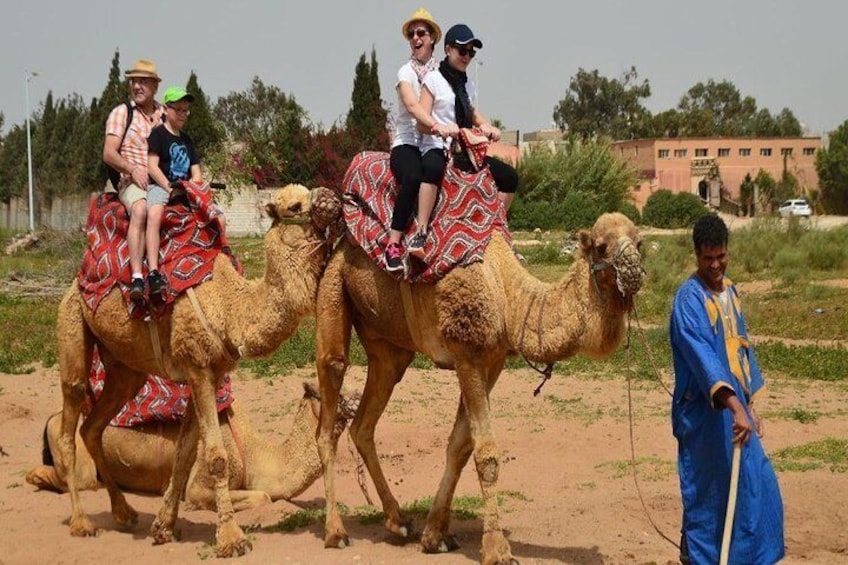 Agadir Camel riding for Cruise ship Passenger