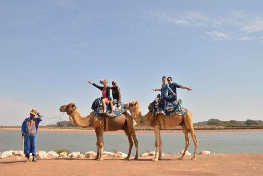 Agadir Camel riding for Cruise ship Passenger