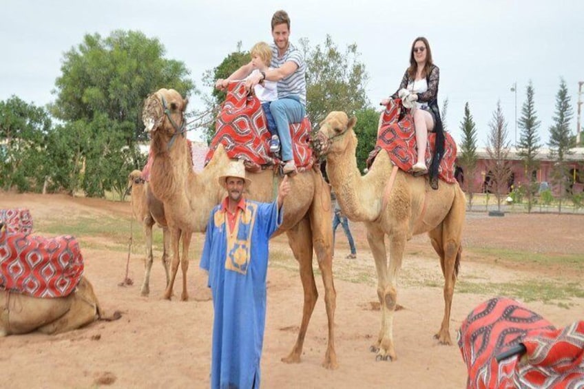 Camel riding in Agadir for Cruise ship Passenger