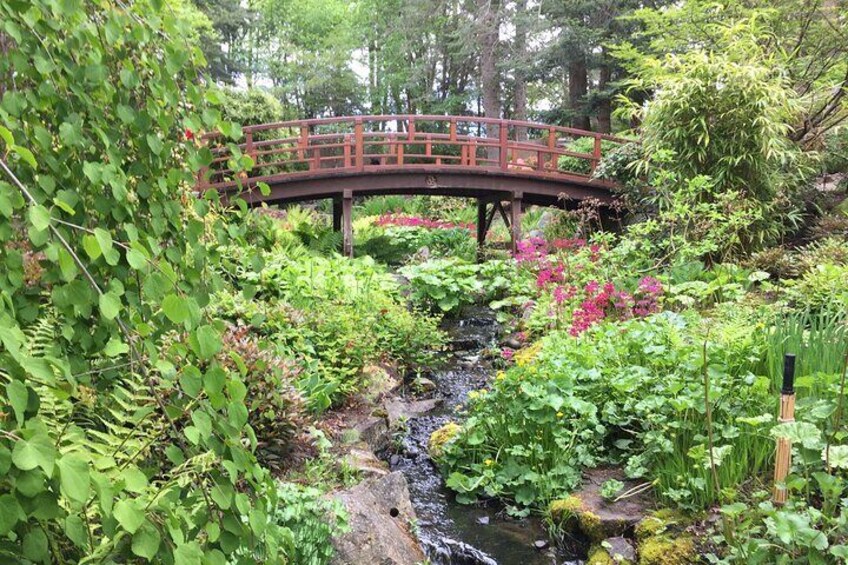 The Japanese gardens at the Horticultural Centre of the Pacific (HCP)