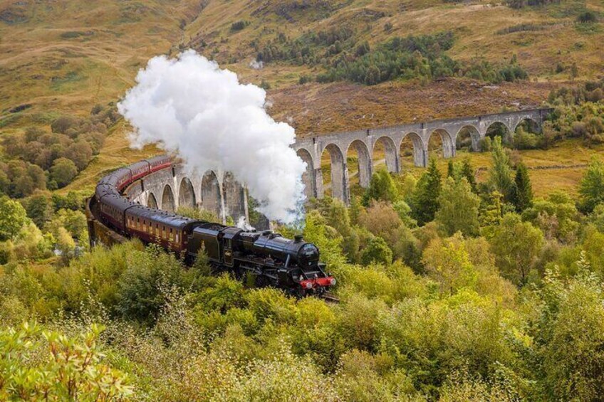 Glencoe and Glenfinnan Private Day Tour with Scottish Local