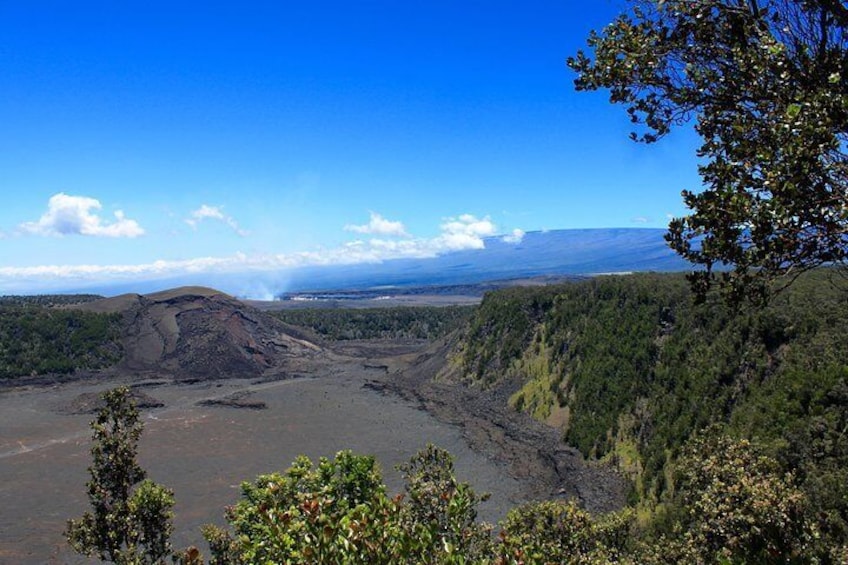 Hawaii Volcanoes National Park and Big Island Highlights Small Group Tour
