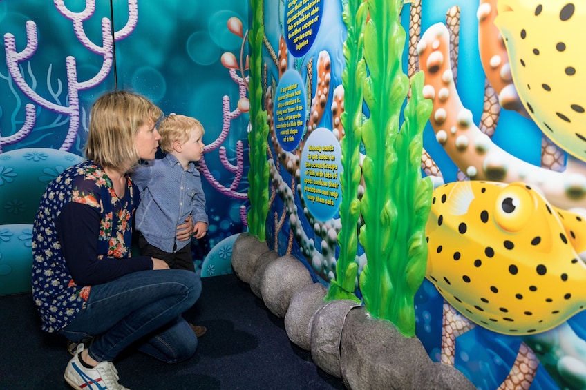 SEA LIFE Kelly Tarlton's Aquarium Tickets