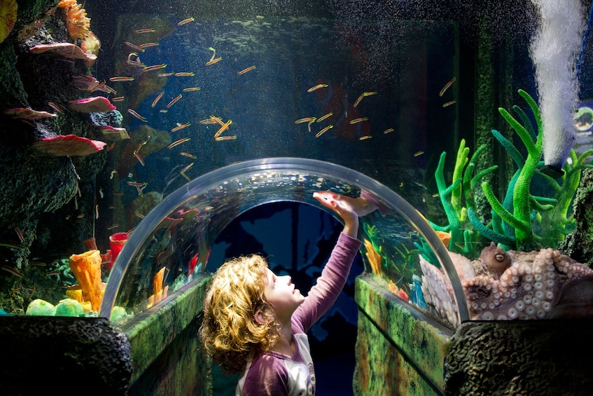 SEA LIFE Melbourne Aquarium Tickets