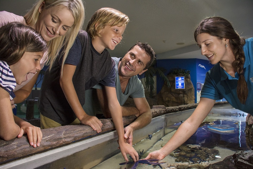SEA LIFE Sunshine Coast General Admission 