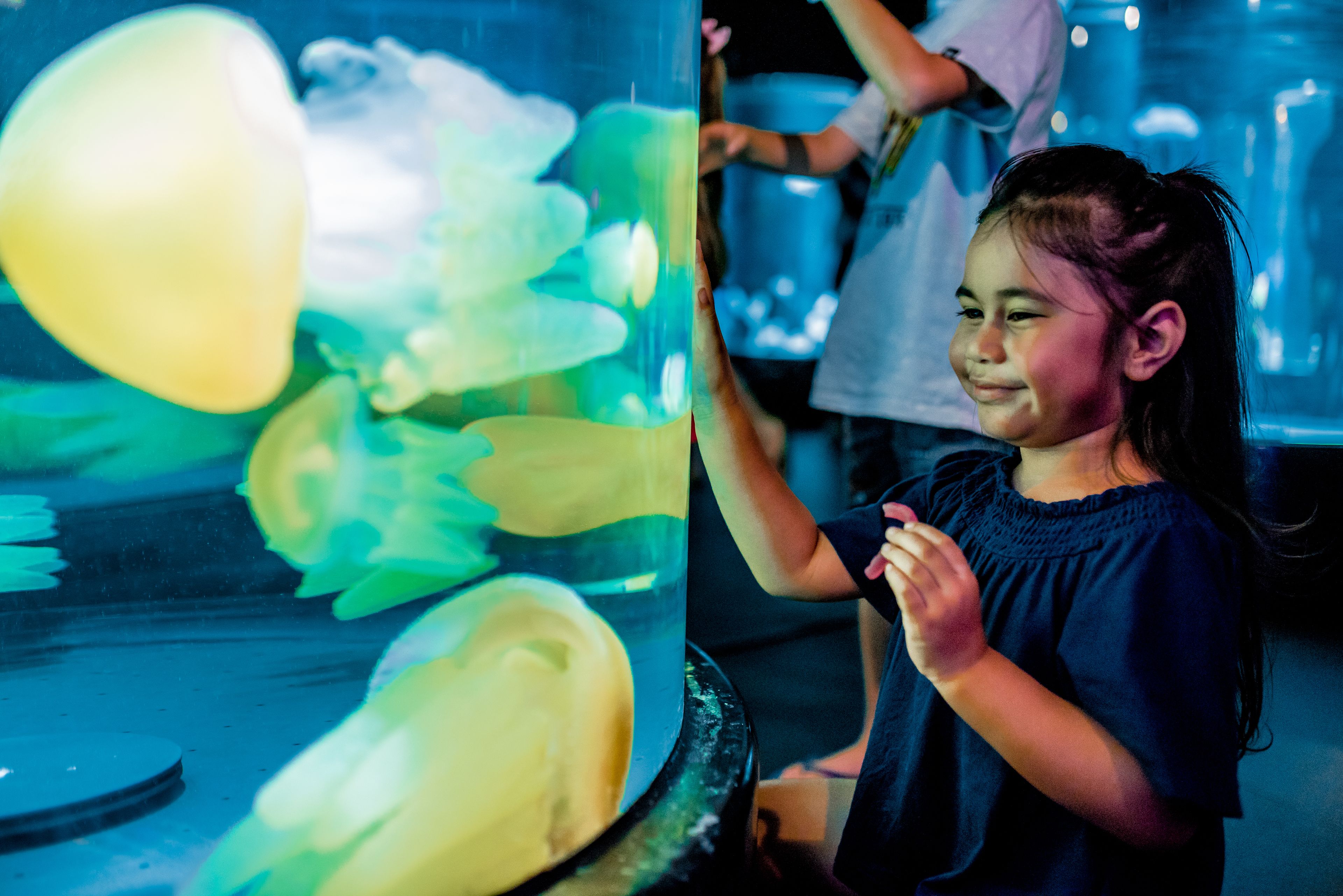 シーライフシドニー水族館のチケット